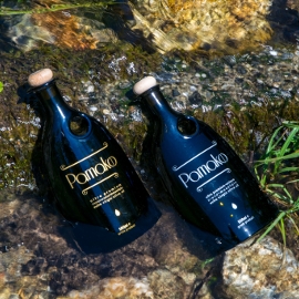 two black Pamako olive oil bottles with wooden stoppers lying next to rocks in the clear water of a little stream